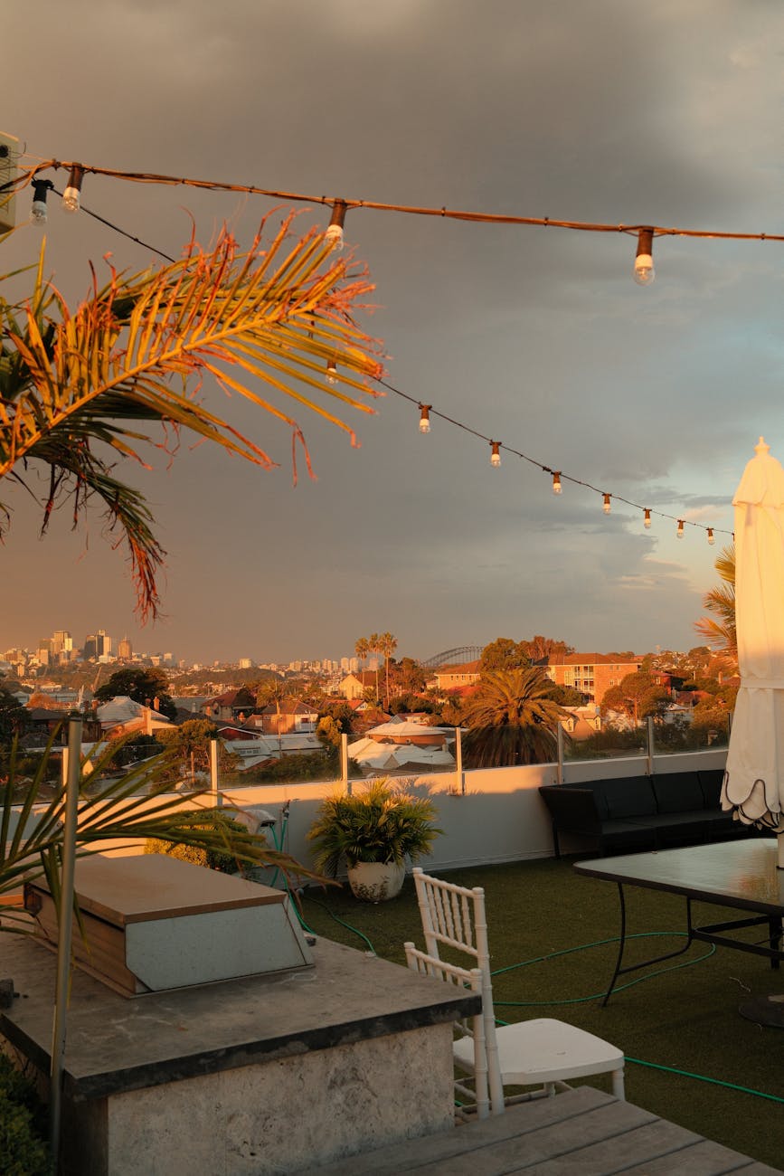 A rooftop view at sunset with Sydney's skyline, palm trees and string lights