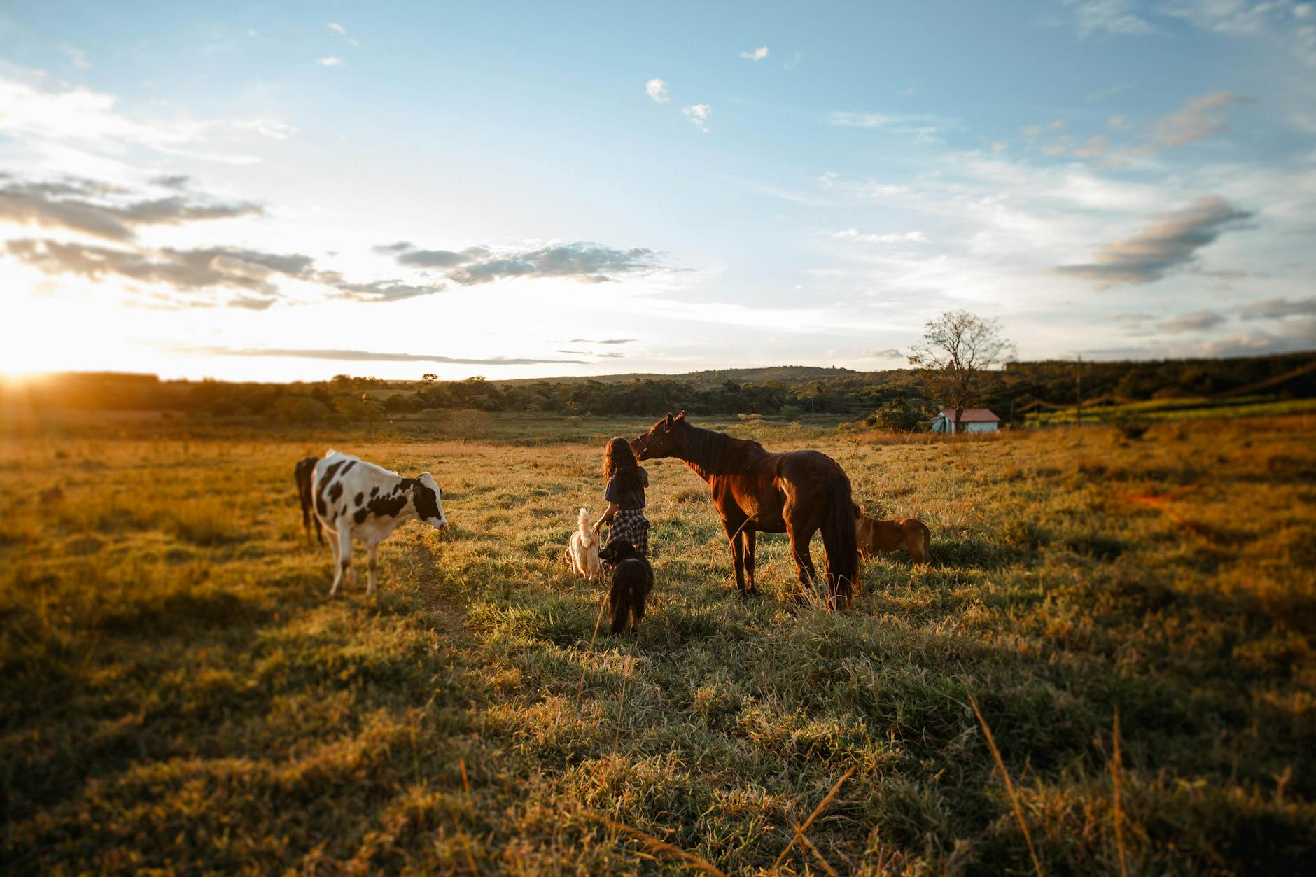 Rachel Ward on a farm, reflecting the story's shift from glamour to labour