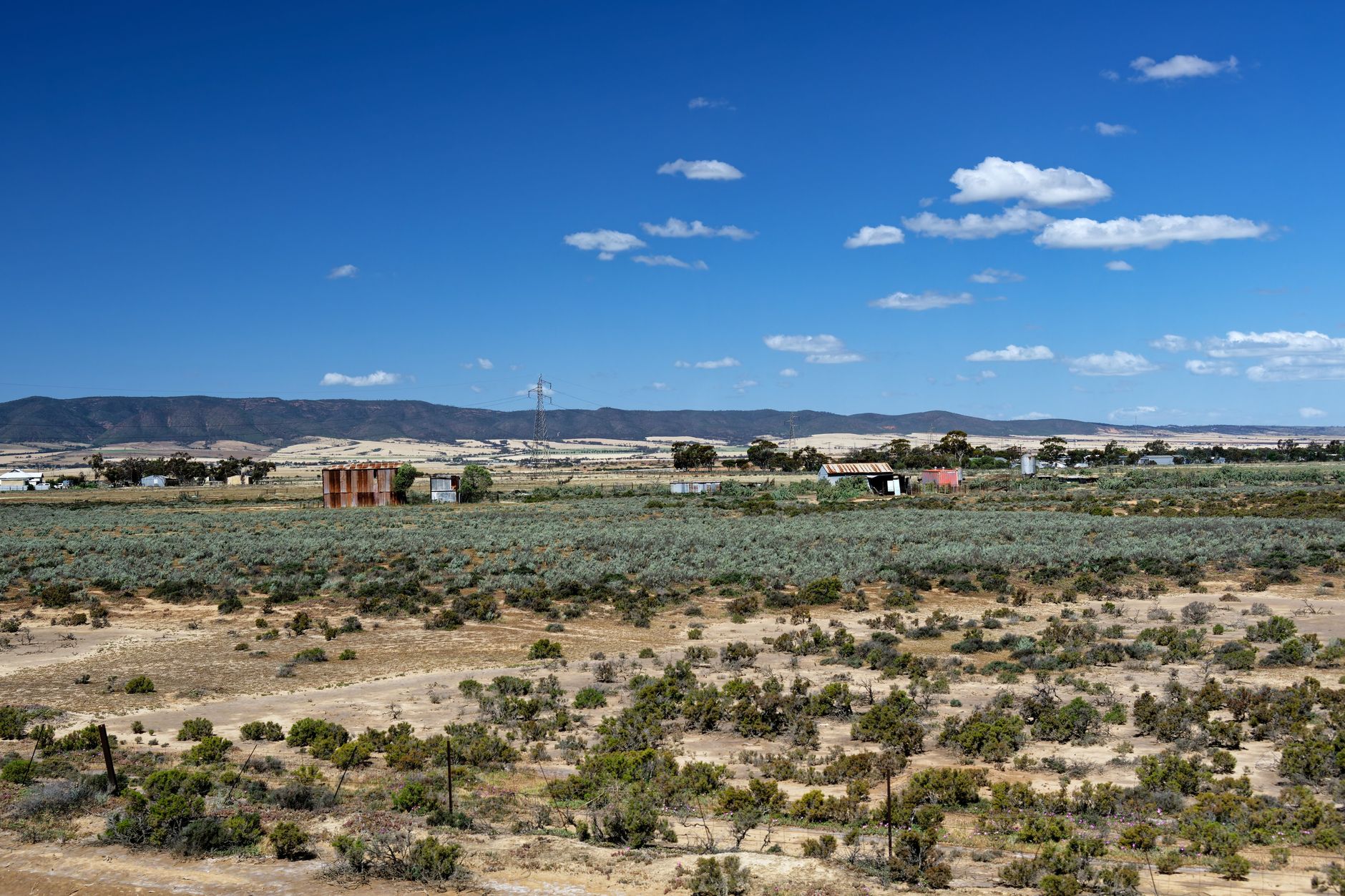 Open farm country outside a small Australian town, a stand-in for the scale around Robinvale.