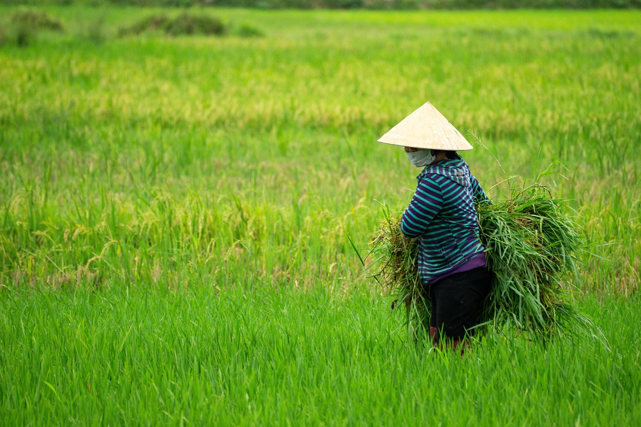 Woman working in a rural field, echoing Rachel Ward's shift from glamour to farm labour.