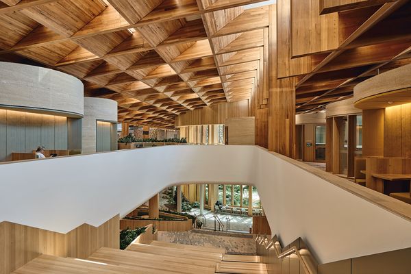 The Forest by Woods Bagot, winner of the 2026 Australian Interior Design Awards Premier Award